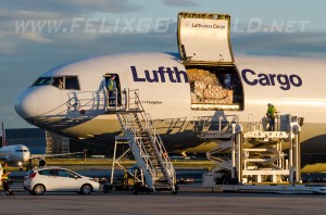 Lufthansa Cargo - McDonnell Douglas MD-11F